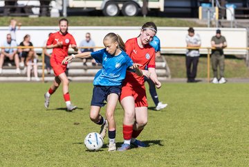 Bild 170 - wBJ TuS Rotenhof - Holstein Kiel : Ergebnis: 1:4
